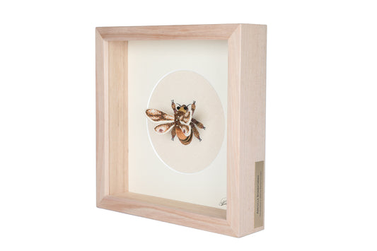 ‘AMEGILLA BOMBIFORMIS’