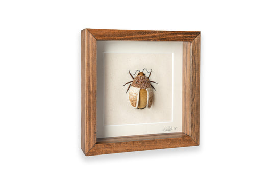 Large Gold Beetle Embroidered Insect