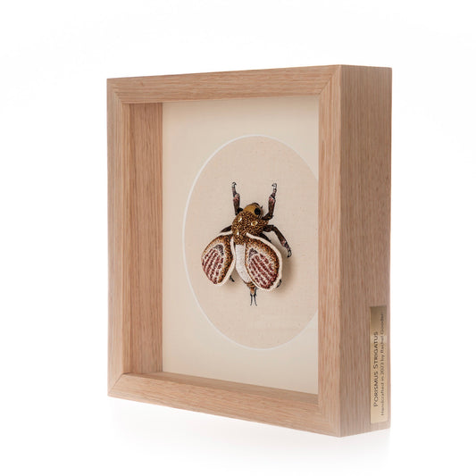 Newborn Greenfaced Gumhopper Embroidered Artwork